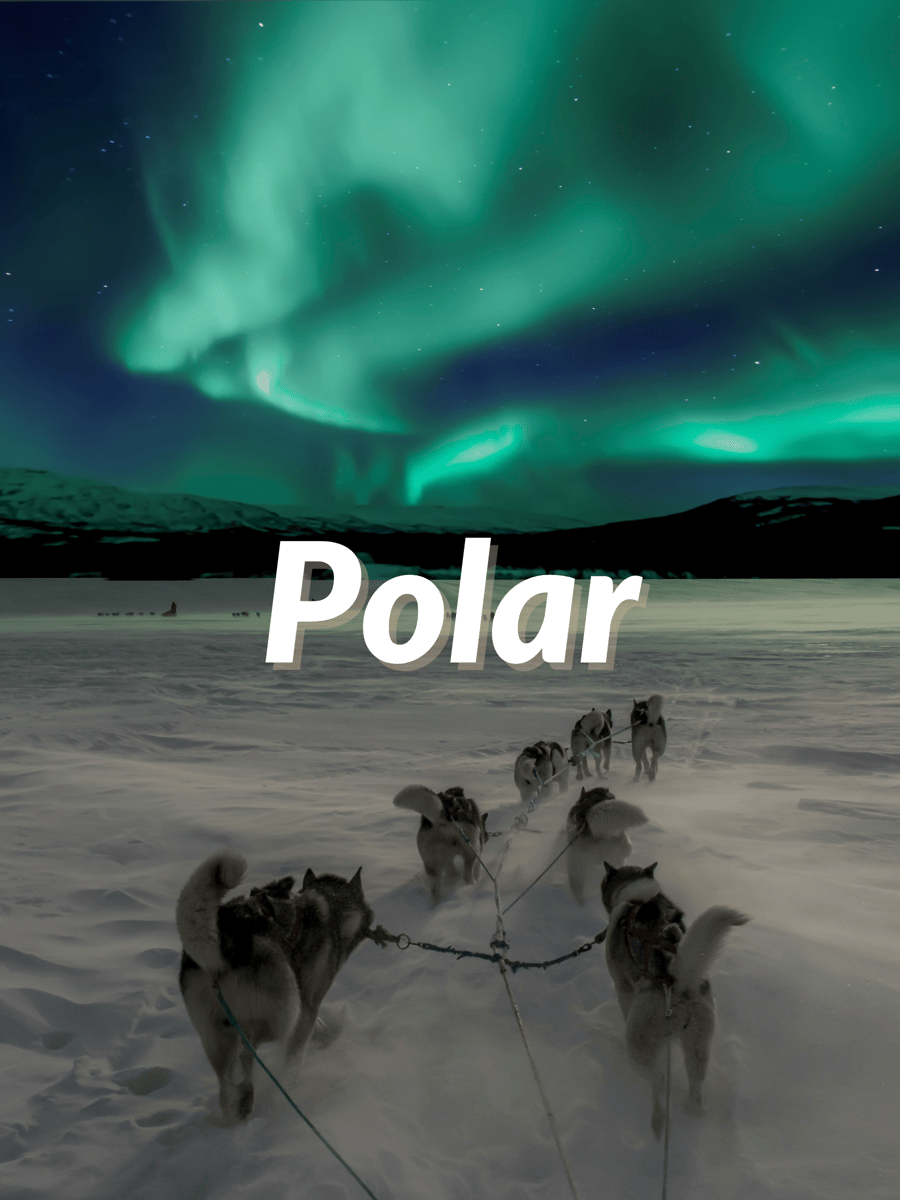 Polar